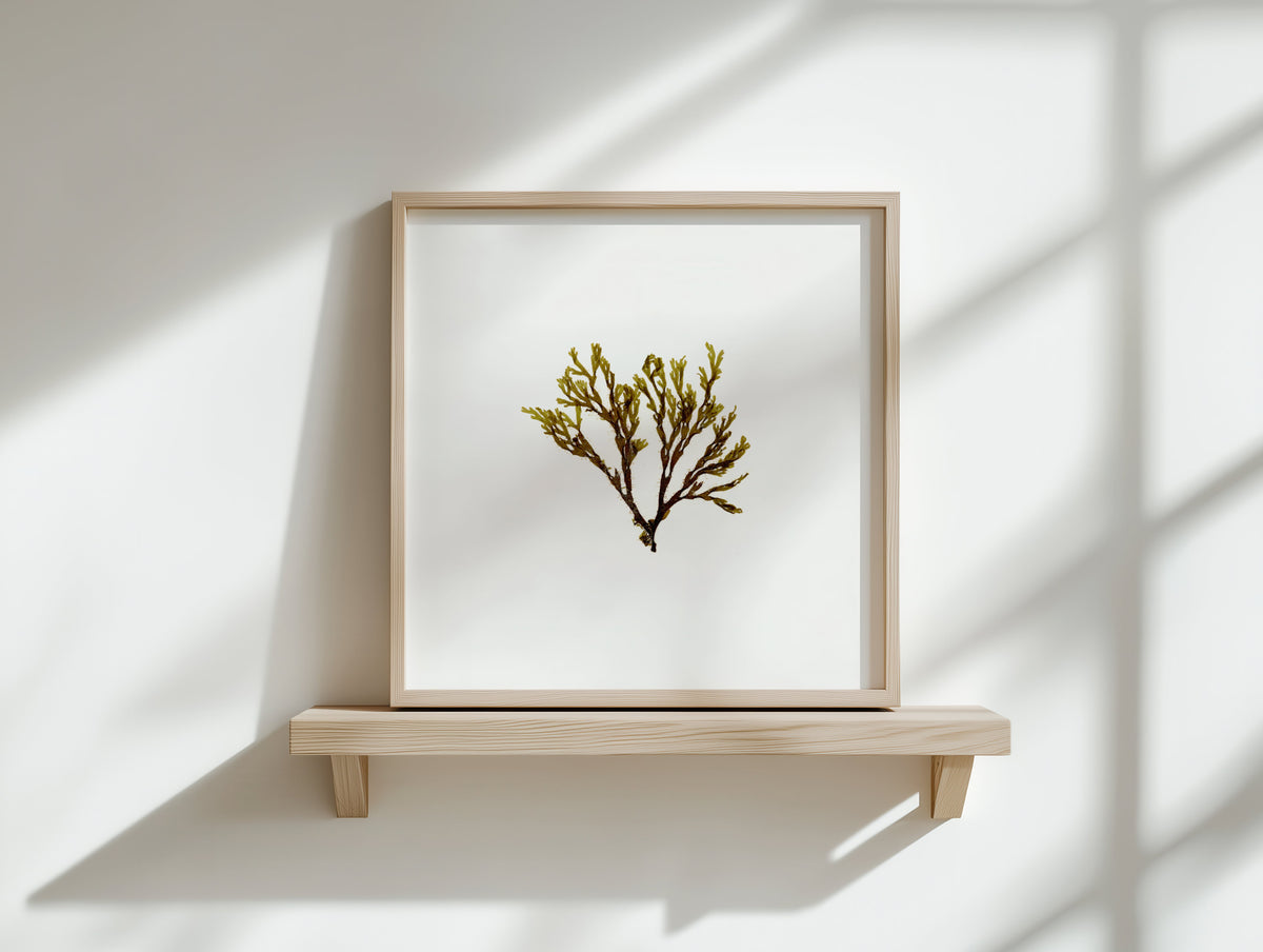 Square prints