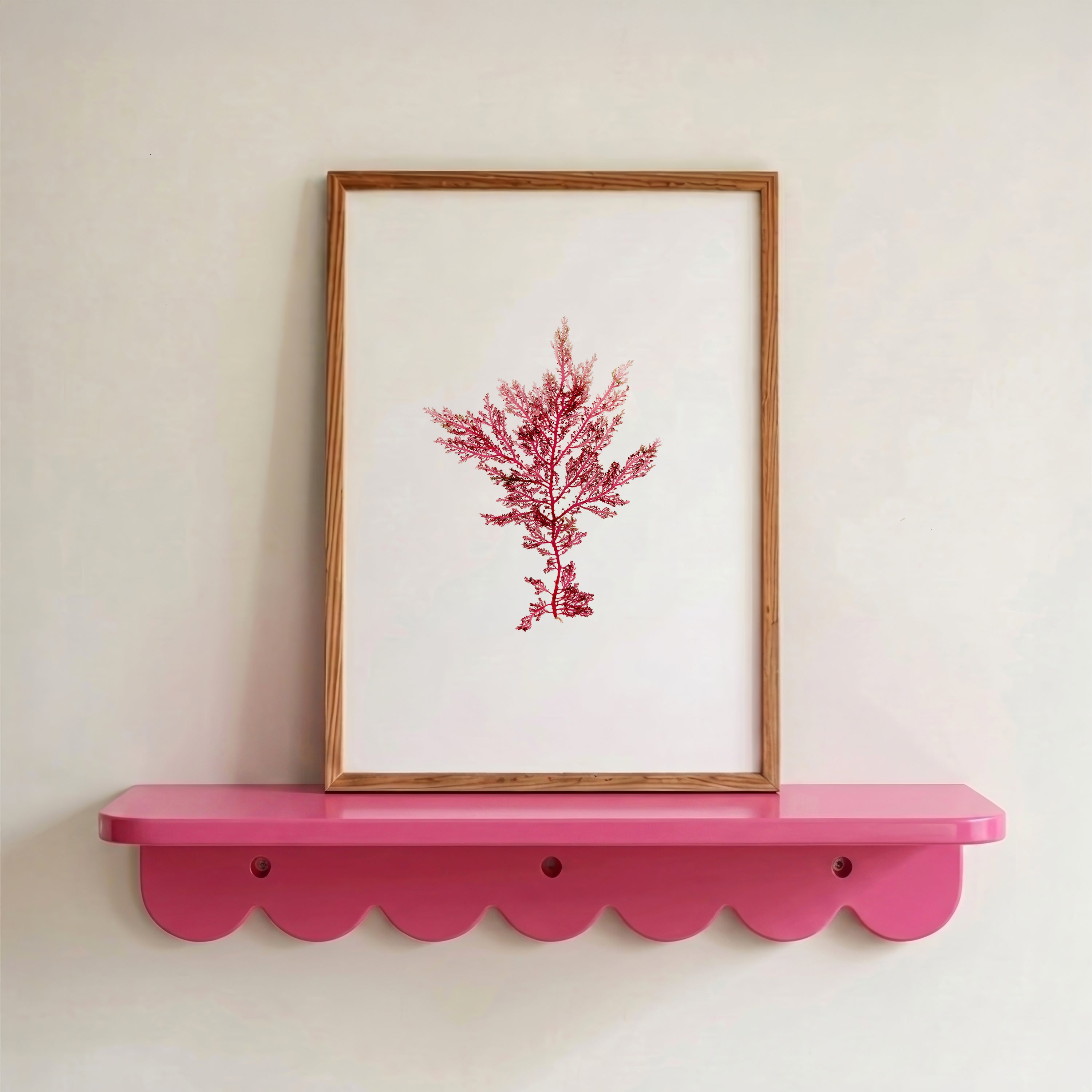 Fuchsia fern - Pressed Seaweed Art Print