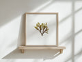 Doubling weed - Pressed Seaweed Art Print