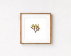 Doubling weed - Pressed Seaweed Art Print