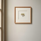 Doubling weed - Pressed Seaweed Art Print