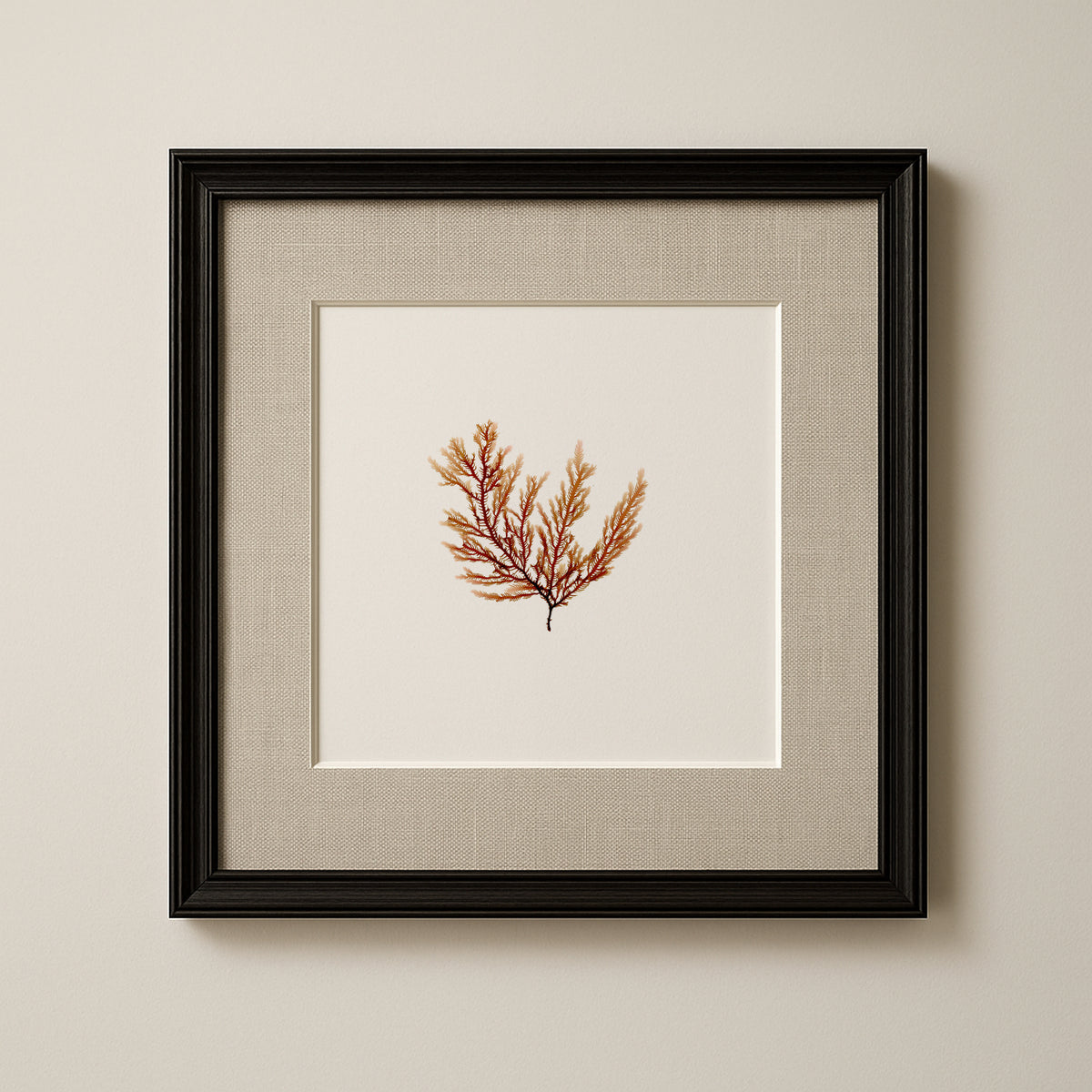 Peach fern - Pressed Seaweed Art Print