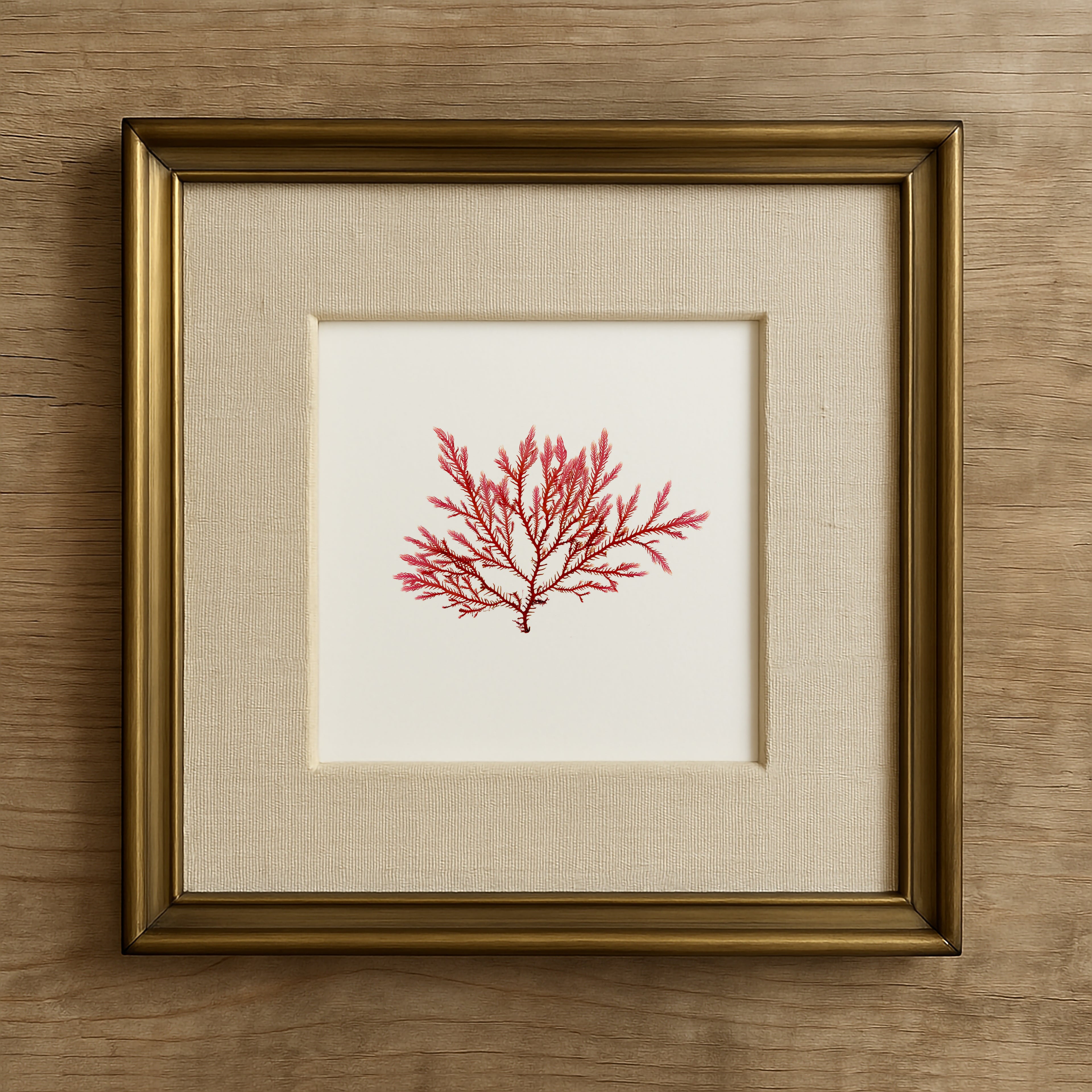 Blushing fern - Pressed Seaweed Art Print