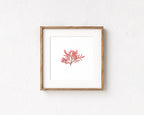 Blushing fern - Pressed Seaweed Art Print
