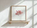 Blushing fern - Pressed Seaweed Art Print