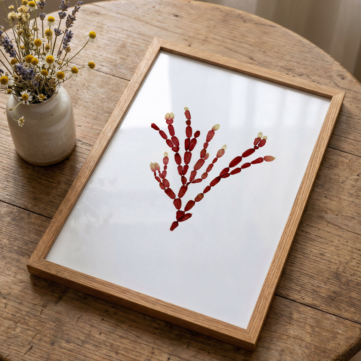 Sea Gems - Pressed Seaweed Art Print
