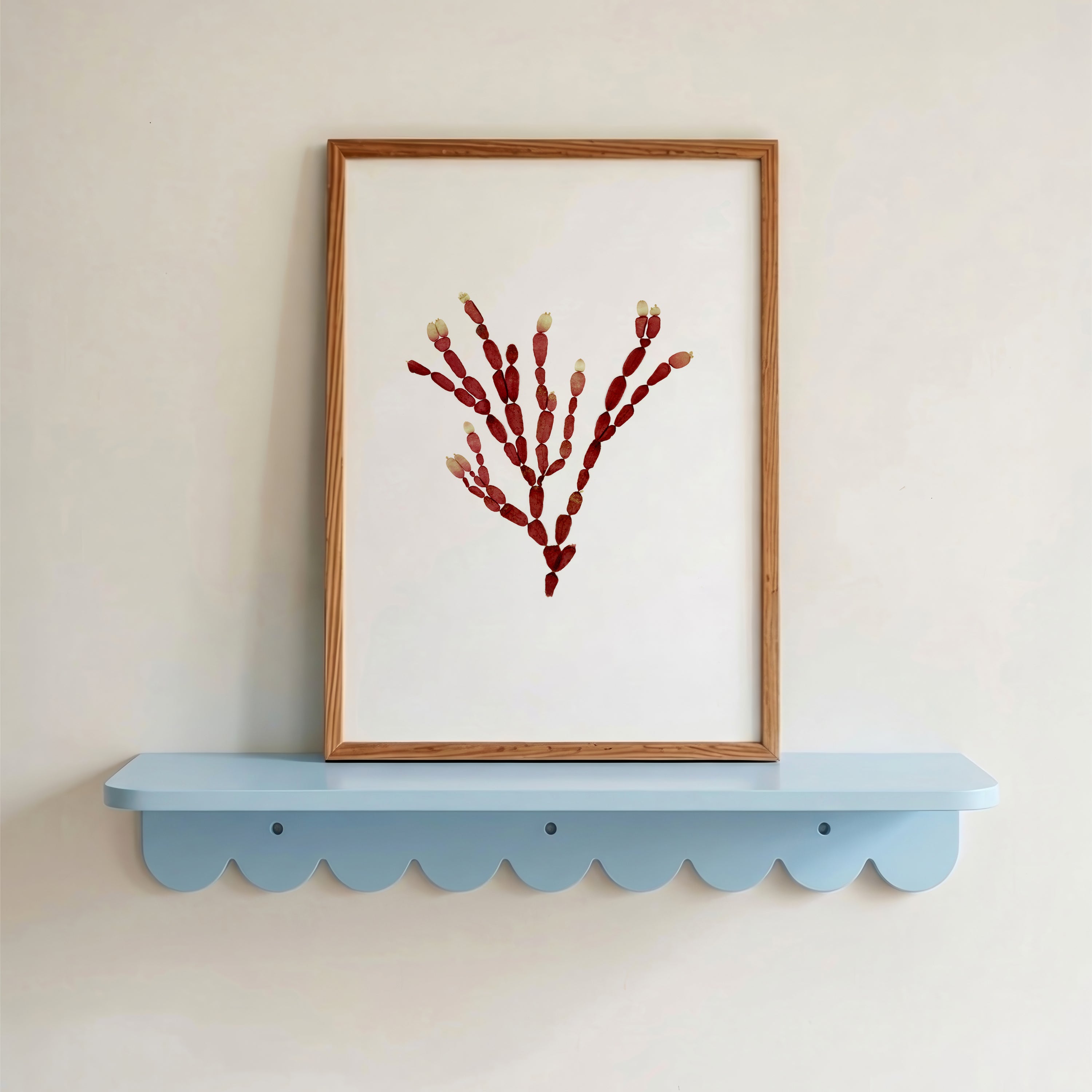 Sea Gems - Pressed Seaweed Art Print