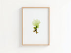 Sea lettuce - Pressed Seaweed Art Print